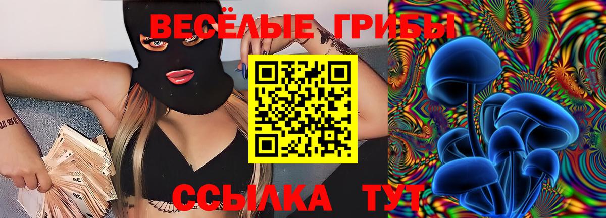 Псилоцибиновые грибы MAGIC MUSHROOMS  Вход с VPN  Советск 