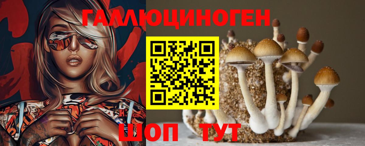 Псилоцибиновые грибы ЛСД Советск